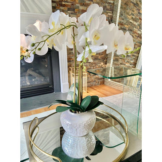 Real Touch Phalaenopsis Orchid Arrangement - DesignedBy The Boss