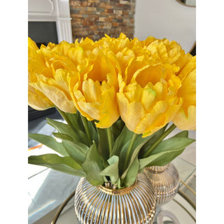 Real touch Tulips blooming - DesignedBy The Boss
