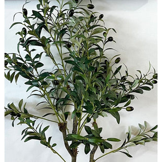 Realistic Faux Olive Tree - DesignedBy The Boss