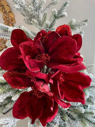 Red Velvet Poinsettia Bouquet - DesignedBy The Boss