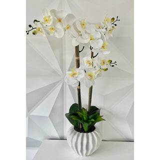 White Real Touch Phalaenopsis Orchid Arrangement - DesignedBy The Boss