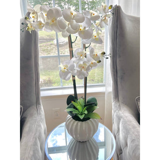 White Real Touch Phalaenopsis Orchid Arrangement - DesignedBy The Boss