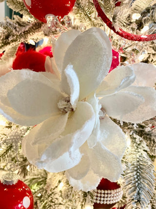 White Snowy Magnolia Bouquet Of 5 Stems - DesignedBy The Boss